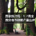 国家统计局：1-7月全国分省市粗钢产量出炉（图2）