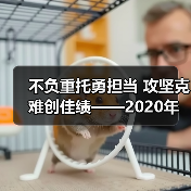 不负重托勇担当 攻坚克难创佳绩——2020年,公司高质量完成年度预算目标!(图2) 不负重托勇担当 攻坚克难创佳绩——2020年,公司高质量完成年度预算目标!(图2)