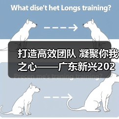 打造高效团队 凝聚你我之心——广东新兴2020年新工拓展培训记(图2) 打造高效团队 凝聚你我之心——广东新兴2020年新工拓展培训记(图2)