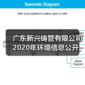 广东新兴铸管有限公司2020年环境信息公开（图3）