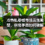 冷热轧卷板市场震荡调整,供需矛盾如何破解?