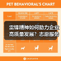 雷锋精神如何助力企业高质量发展?志愿服务活动见实效
