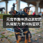 元宵节趣味活动激发团队凝聚力 新兴铸管职工共庆团圆迎新春
