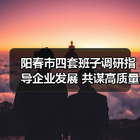 阳春市四套班子调研指导企业发展 共谋高质量发展新路径