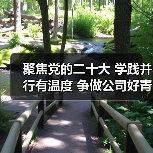 聚焦党的二十大 学践并行有温度 争做公司好青年（图3）