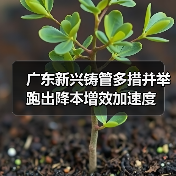 广东新兴铸管多措并举跑出降本增效加速度（图3）