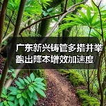 广东新兴铸管多措并举跑出降本增效加速度（图2）