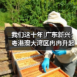 我们这十年|广东新兴:粤港澳大湾区冉冉升起的科创新星