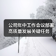 公司年中工作会议部署高质量发展关键任务(图2) 公司年中工作会议部署高质量发展关键任务(图2)