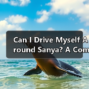 Can I Drive Myself Around Sanya? A Compl