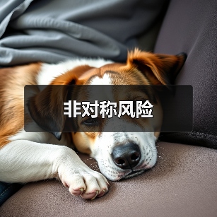 非对称风险