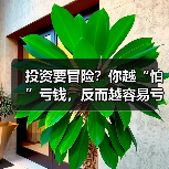 投资要冒险？你越“怕”亏钱，反而越容易亏？