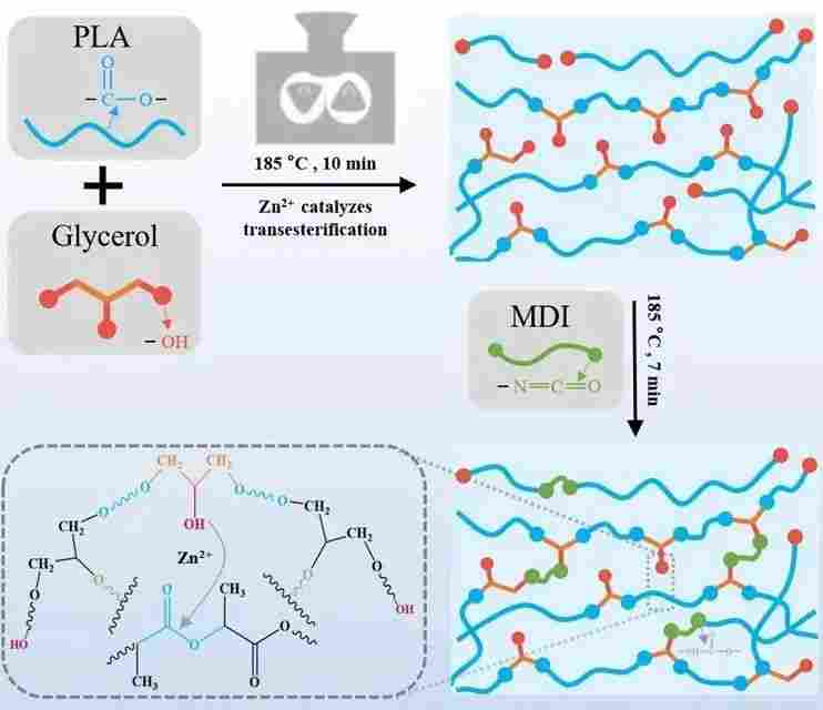 改性聚乳酸发泡新突破，高倍率微孔泡沫助力生物降解塑料应用(图1)