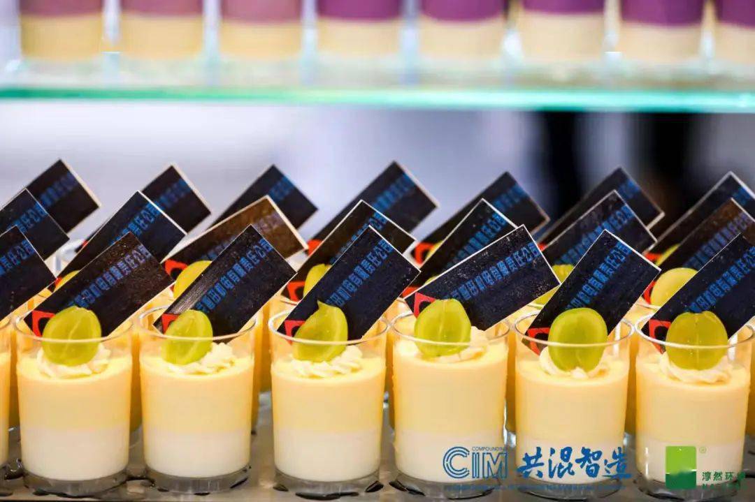 共混智造论坛第二日精彩回顾：聚焦行业前沿与技术创新(图73)