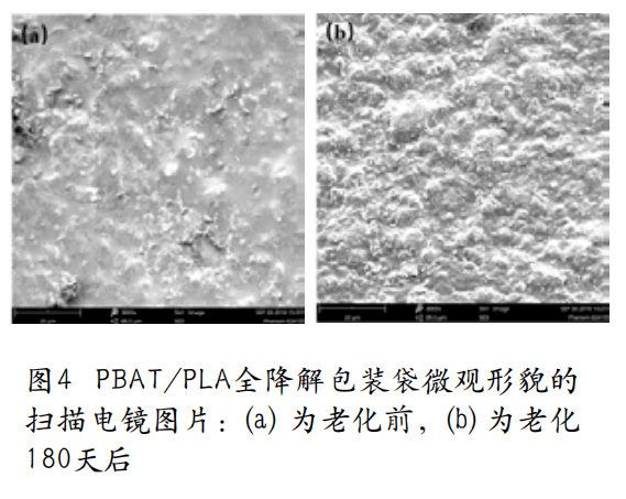 环境对PBAT/PLA降解袋性能的影响与厚度选择分析(图4)