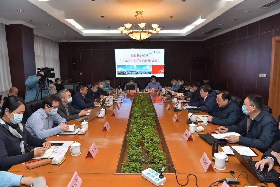 年产300万吨PTA项目采用最新技术，大幅提升产能与效益(图1)