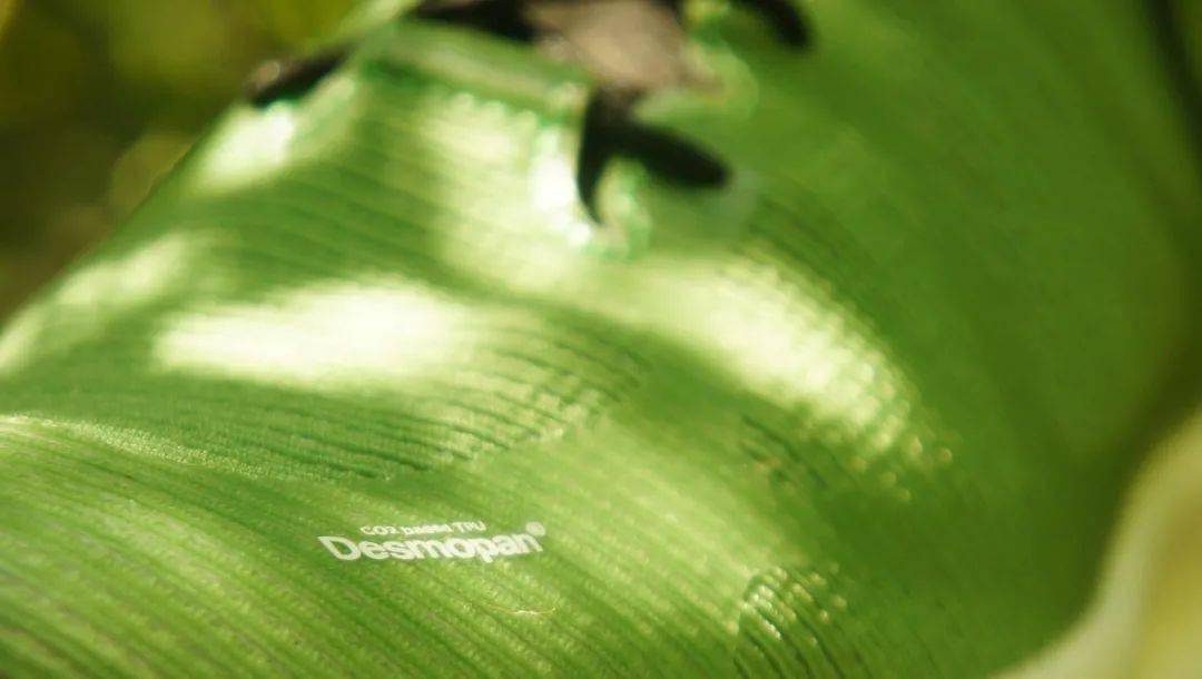 部分生物基TPU材料面市:减碳超20% 鞋业应用前景广阔(图1) 部分生物基TPU材料面市:减碳超20% 鞋业应用前景广阔(图1)