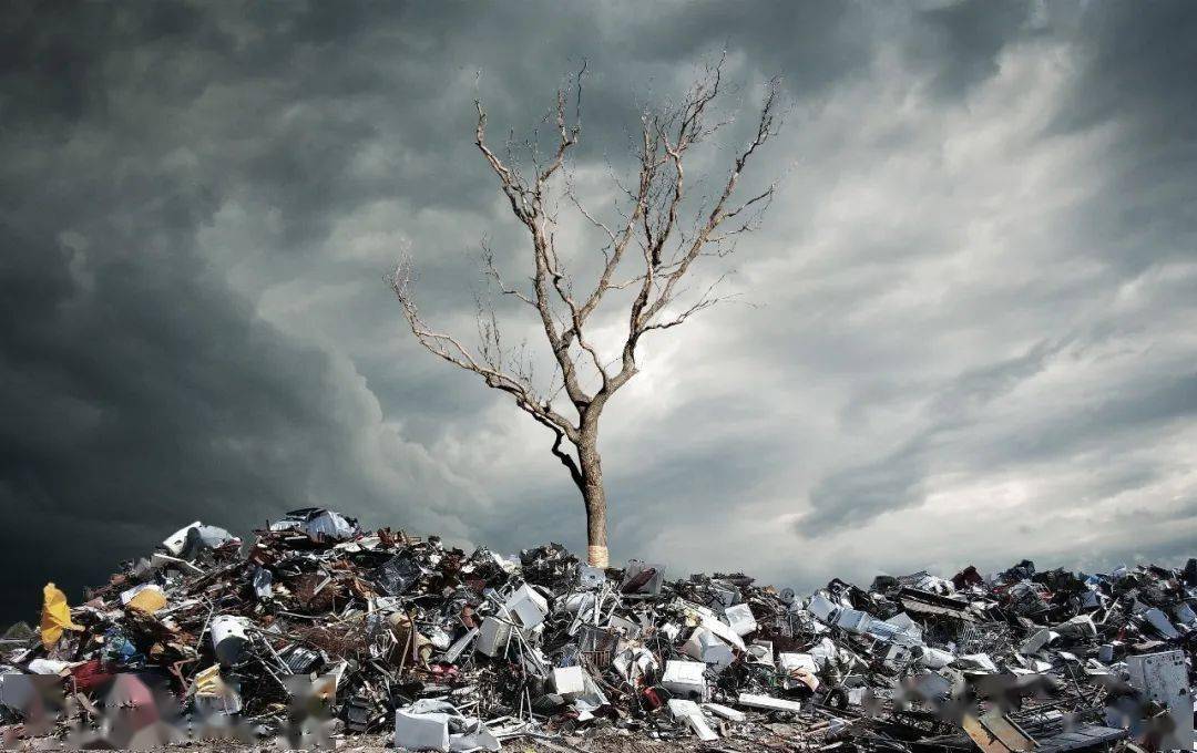 生物塑料、生物基与生物降解塑料区别解析，告别概念混淆(图1)