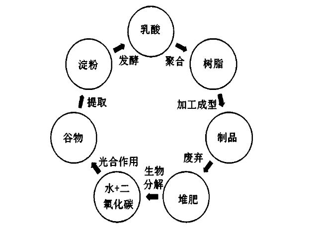 生物塑料、生物基与生物降解塑料区别解析，告别概念混淆(图10)