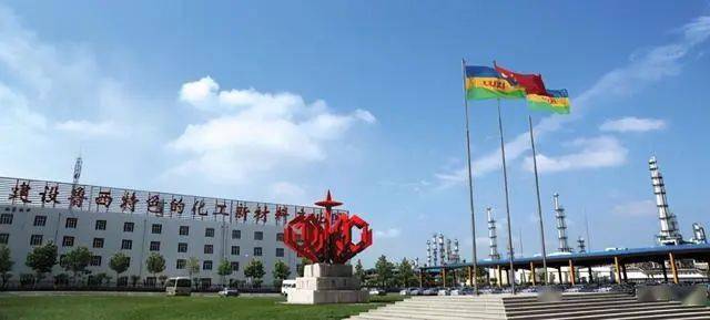 投资超百亿扩建新材料项目，完善高端化工产业链布局(图1)