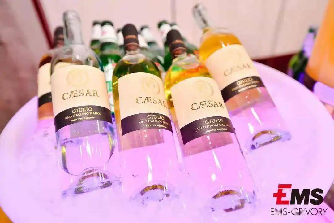 新能源汽车市场趋势与技术创新研讨会深度解读(图46)