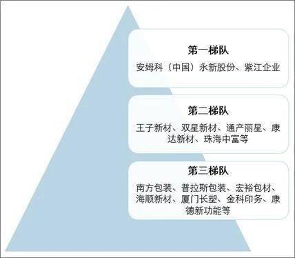 塑料包装行业竞争格局解析：可降解材料成转型关键(图6)