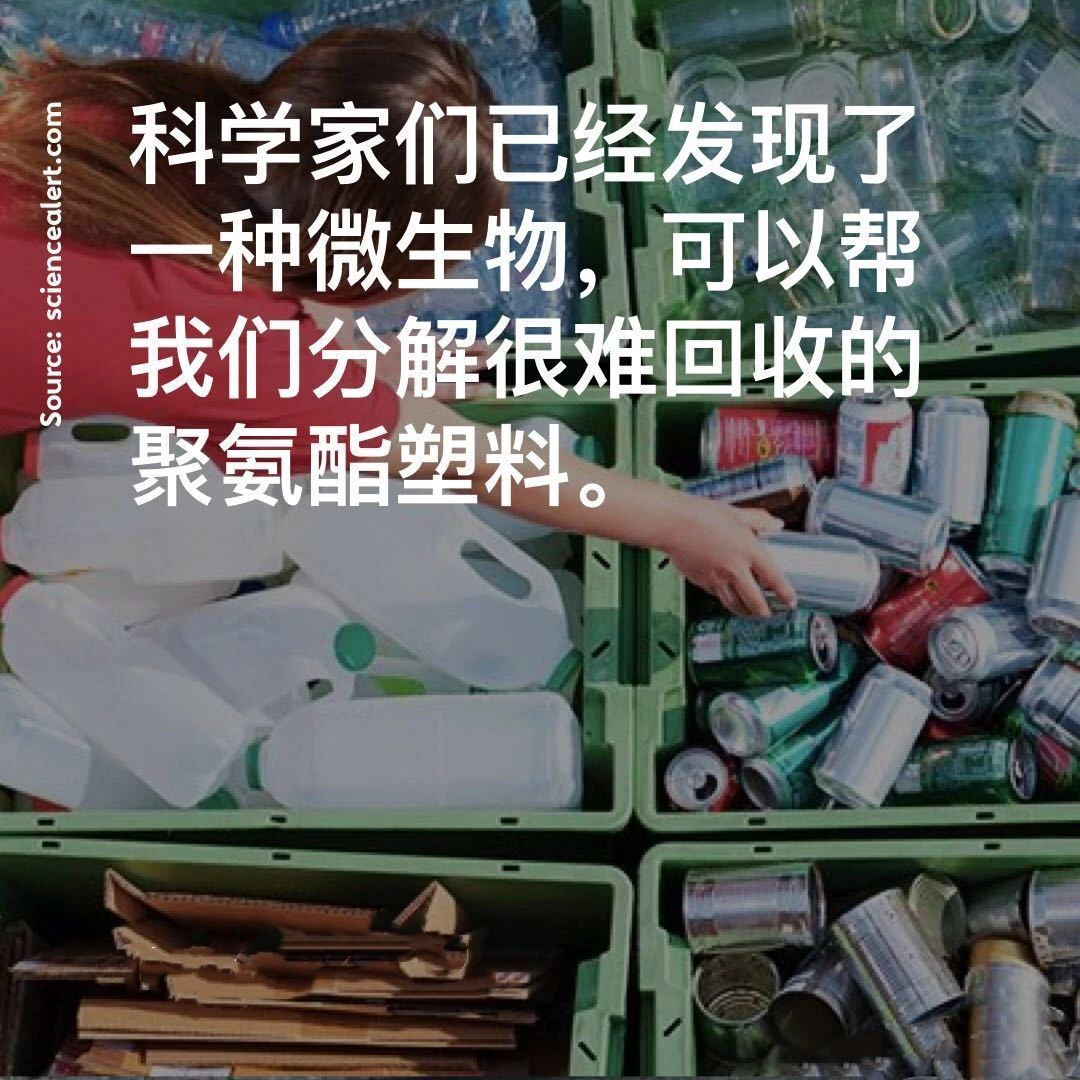 聚乳酸制备技术与应用领域全解析,详解生产工艺与市场前景(图12) 1593425213533529.jpg