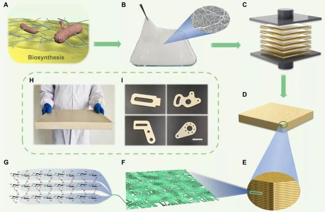 1589169200603856.jpeg f11f3a292df5e0fe348e5a9b3fe796ae5fdf7220.jpeg