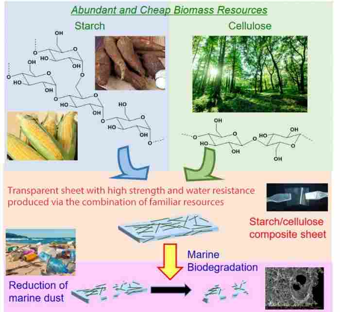 科学家研发植物基可降解塑料，助力解决海洋塑料污染难题(图1)