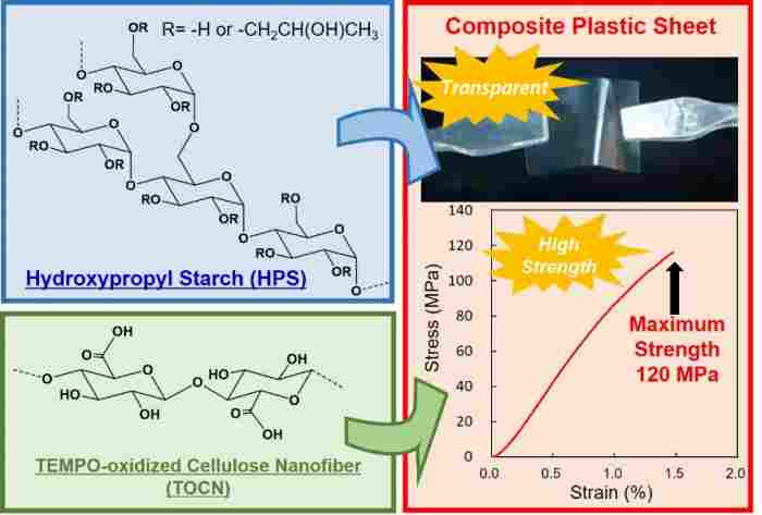 科学家研发植物基可降解塑料，助力解决海洋塑料污染难题(图2)